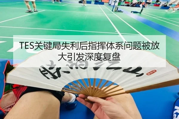 TES关键局失利后指挥体系问题被放大引发深度复盘